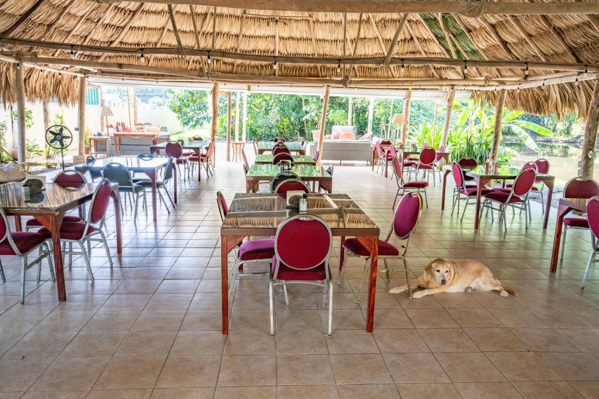 Drift Inn Cayo Santa Elena Extérieur photo